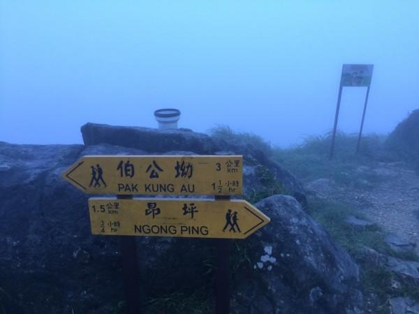 魅族竟然也要造车！为何只能手机厂商要纷纷转型造车？游戏画面